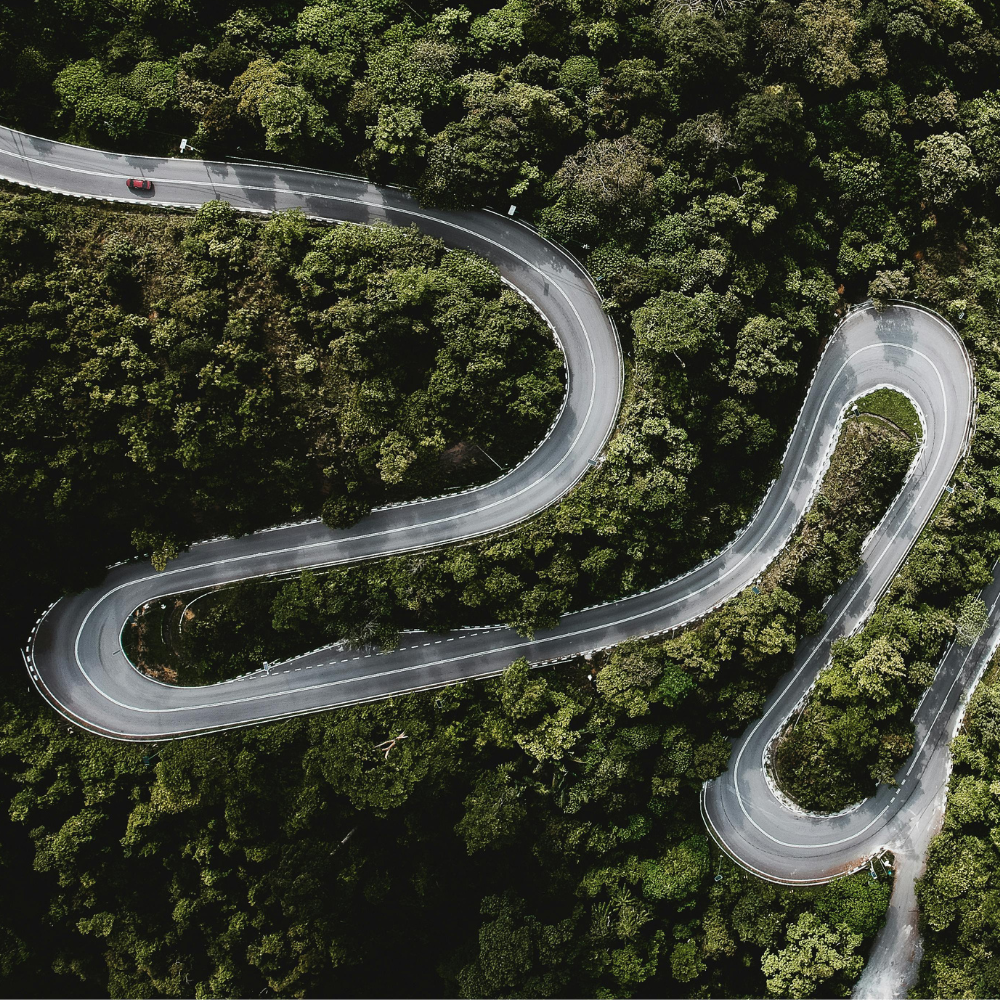 El “segundo cerebro”: la conexión intestino-cerebro