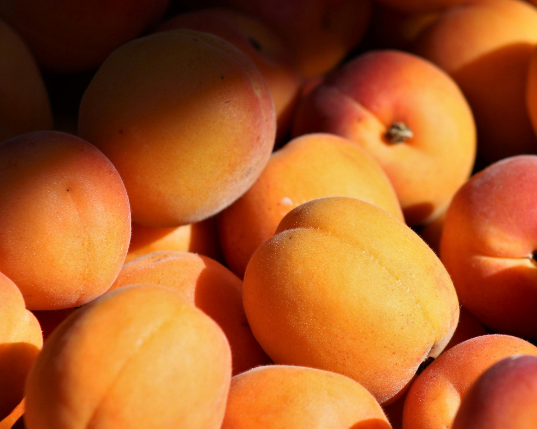 ¿Tienes hambre o estás cansada?