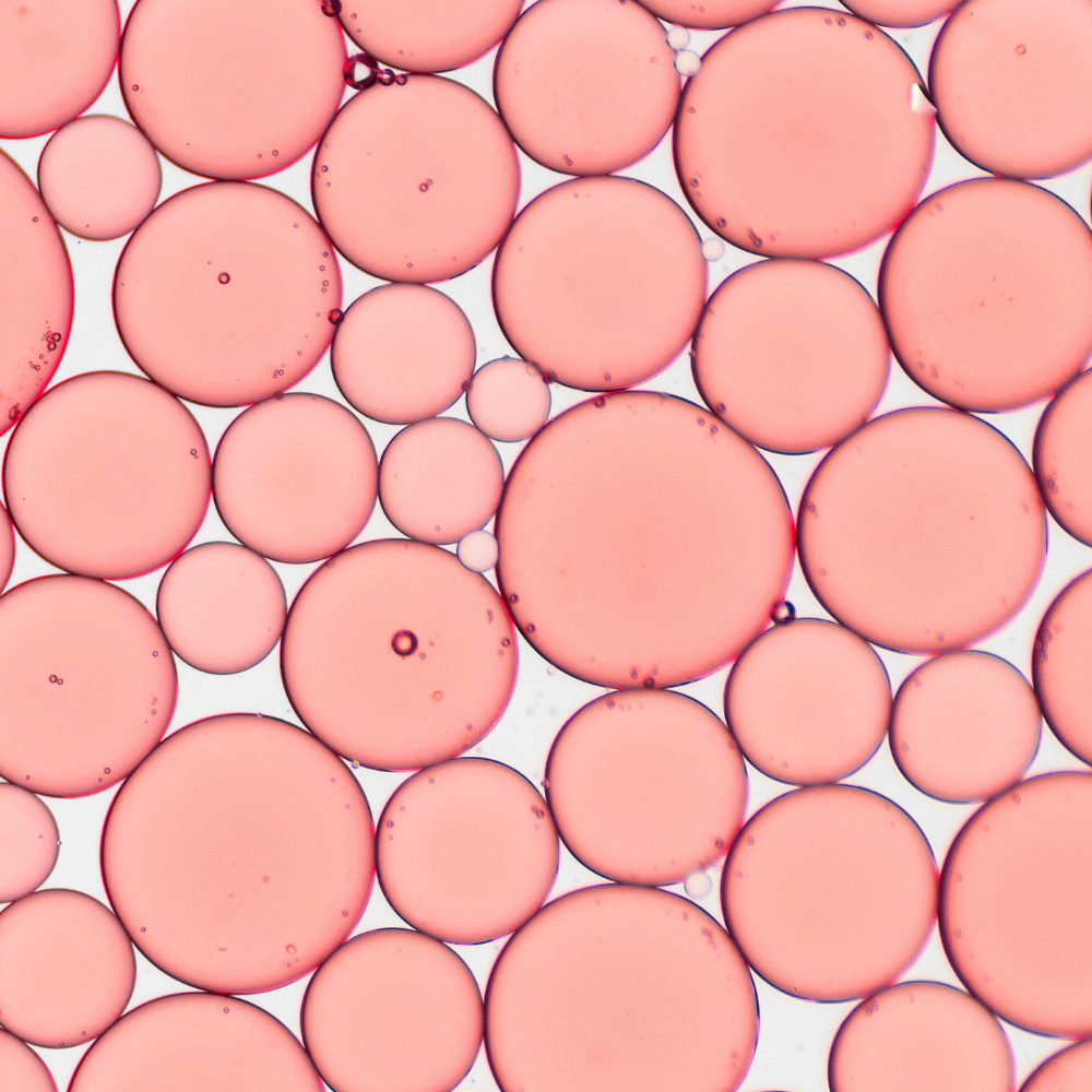 Lipoproteína: el marcador que nadie te pidió y puede cambiar tu prevención cardiovascular