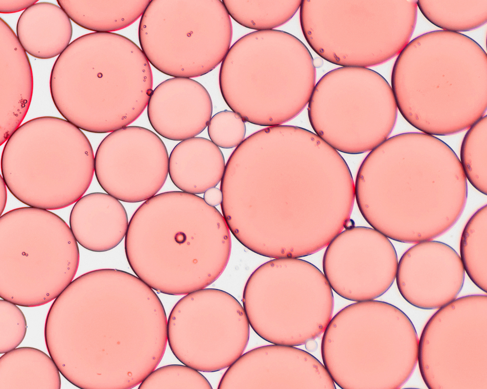 Lipoproteína: el marcador que nadie te pidió y puede cambiar tu prevención cardiovascular