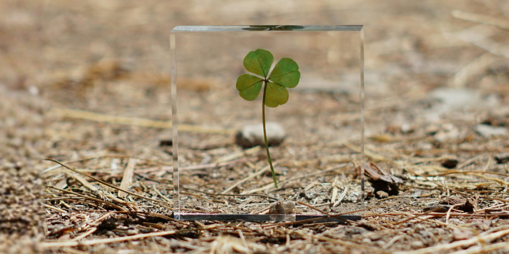 Fertilidad +35: lo que debes saber (y lo que no te cuentan)