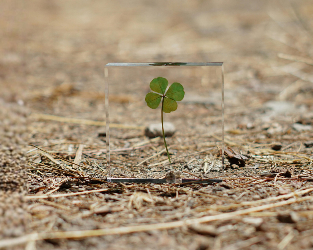 Fertilidad +35: lo que debes saber (y lo que no te cuentan)