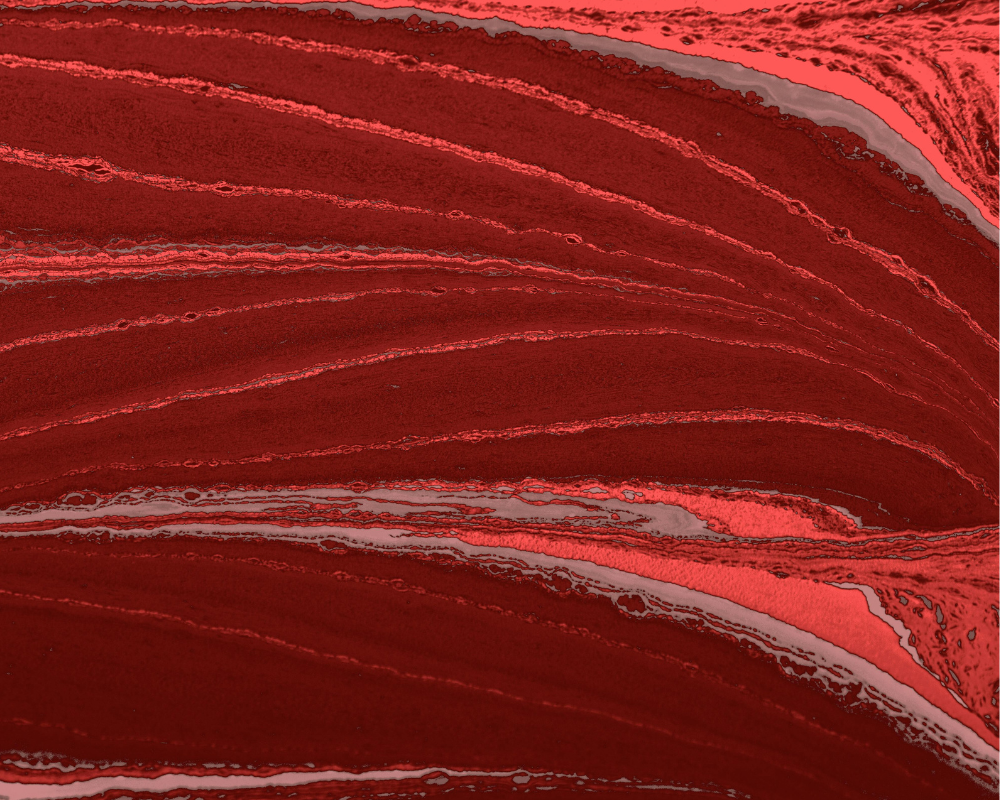 Menopausia y tendones: por qué duelen más (y cómo entrenarlos sin lesionarte)