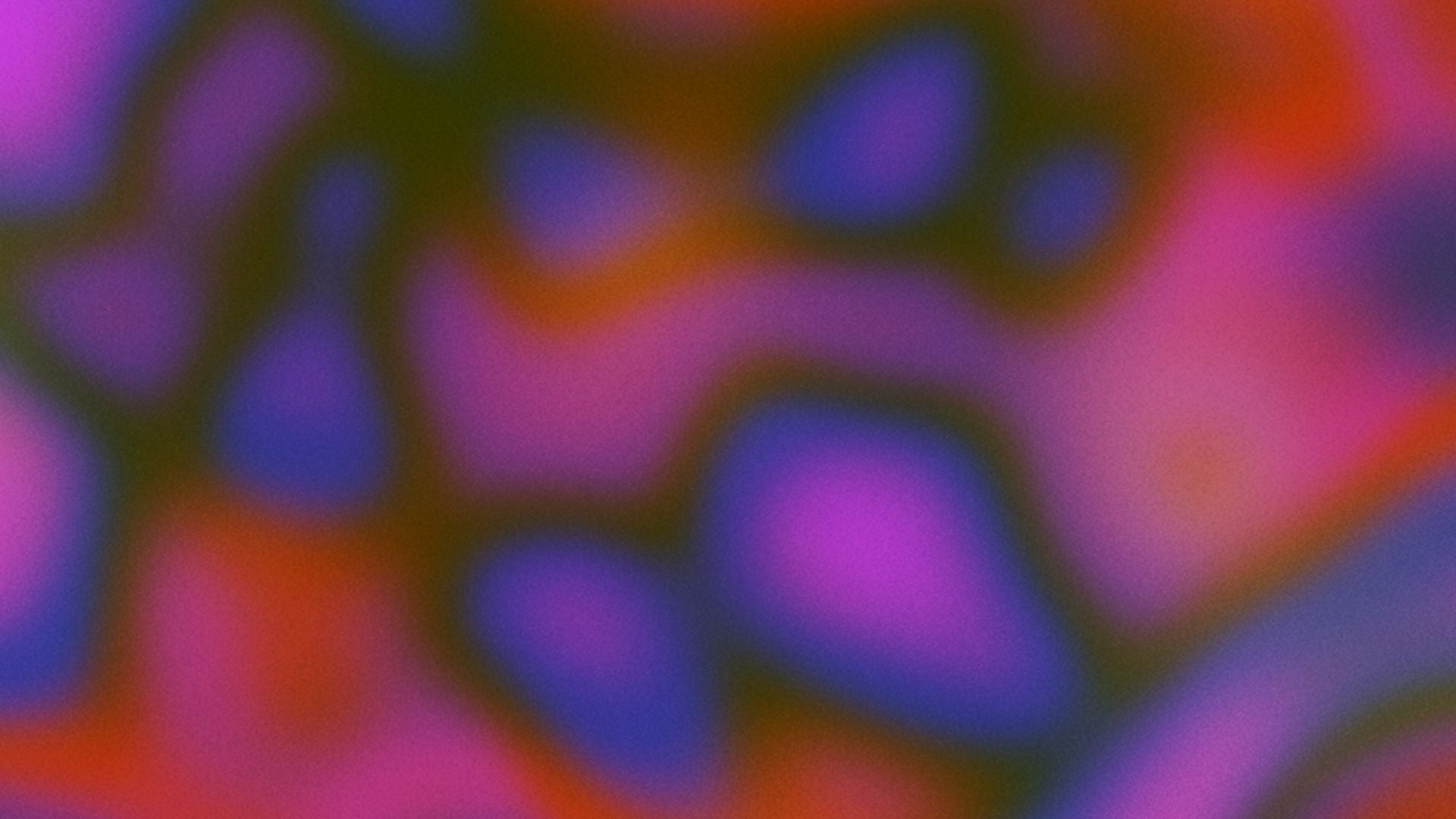 1_3b4975bb-5a96-4a61-9c43-932153bdf318.jpg