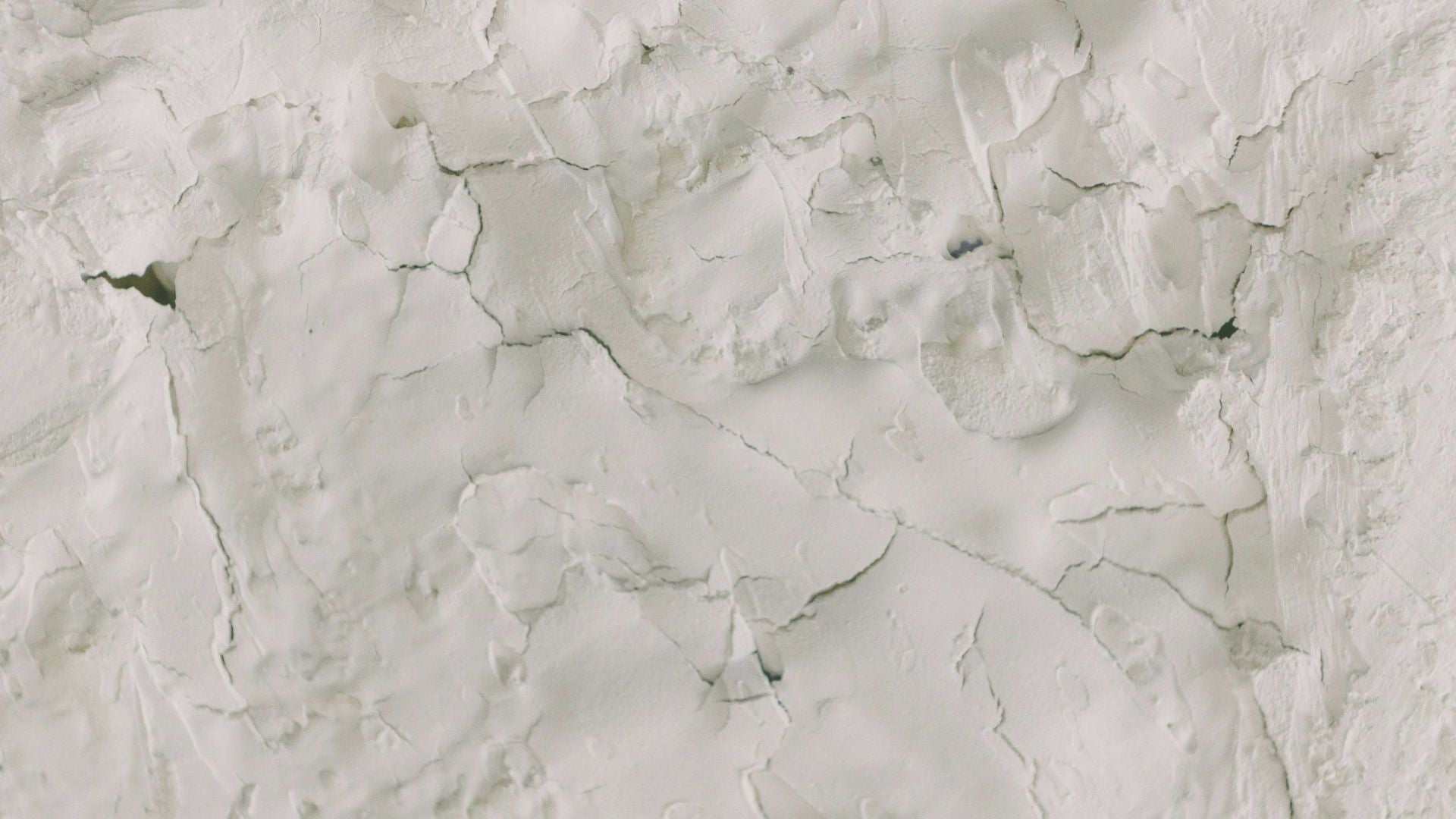 header.jpg