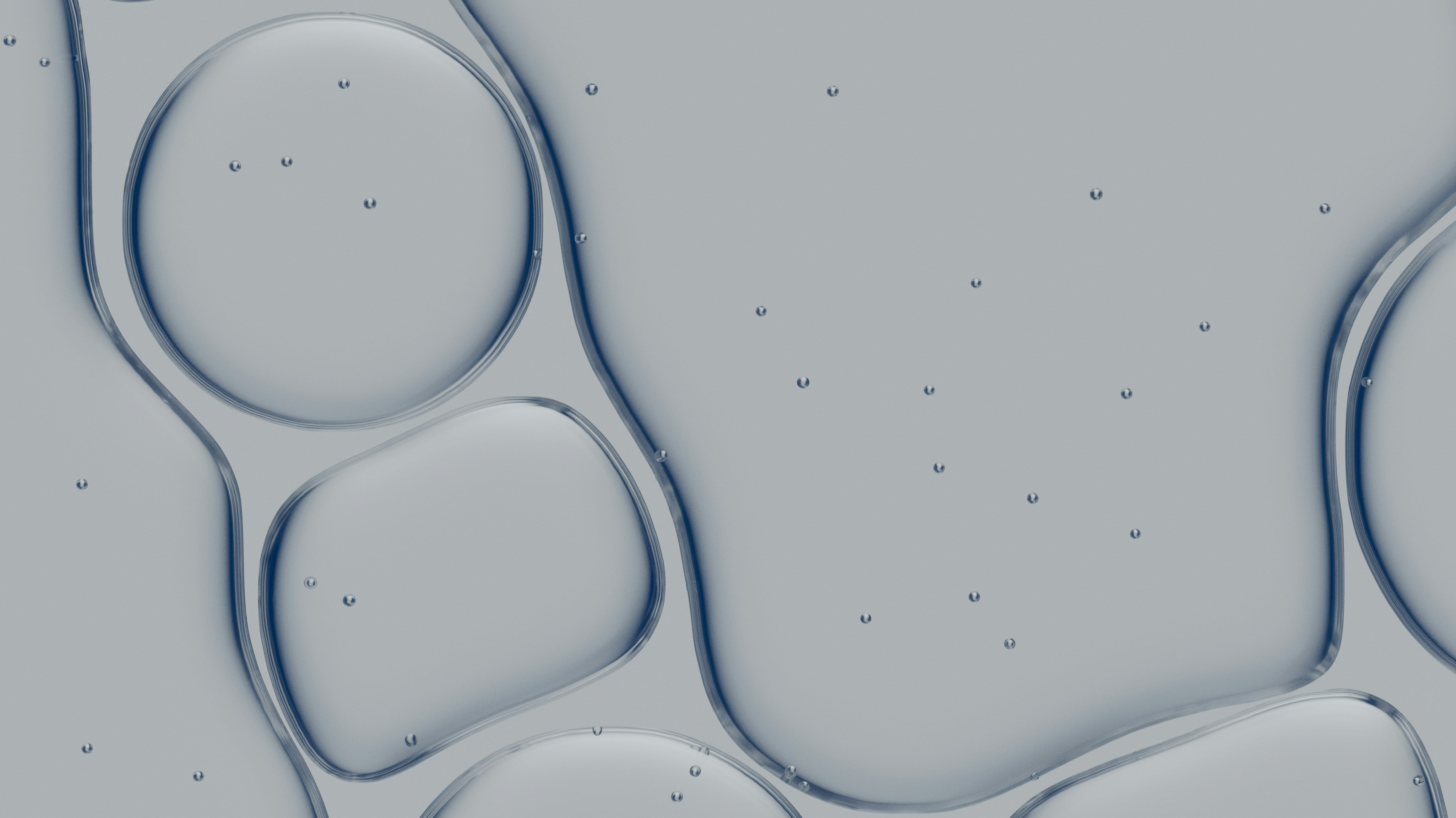 shubham-dhage-03yhFGAiCUE-unsplash.png