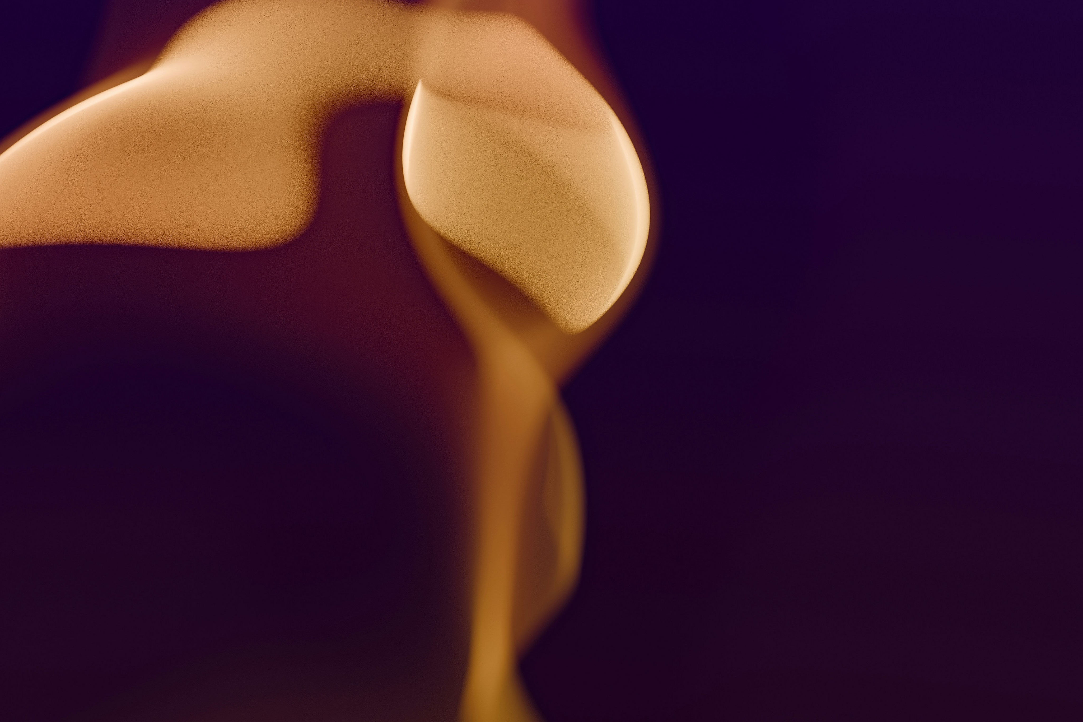 COLOPROCTOLOGÍA