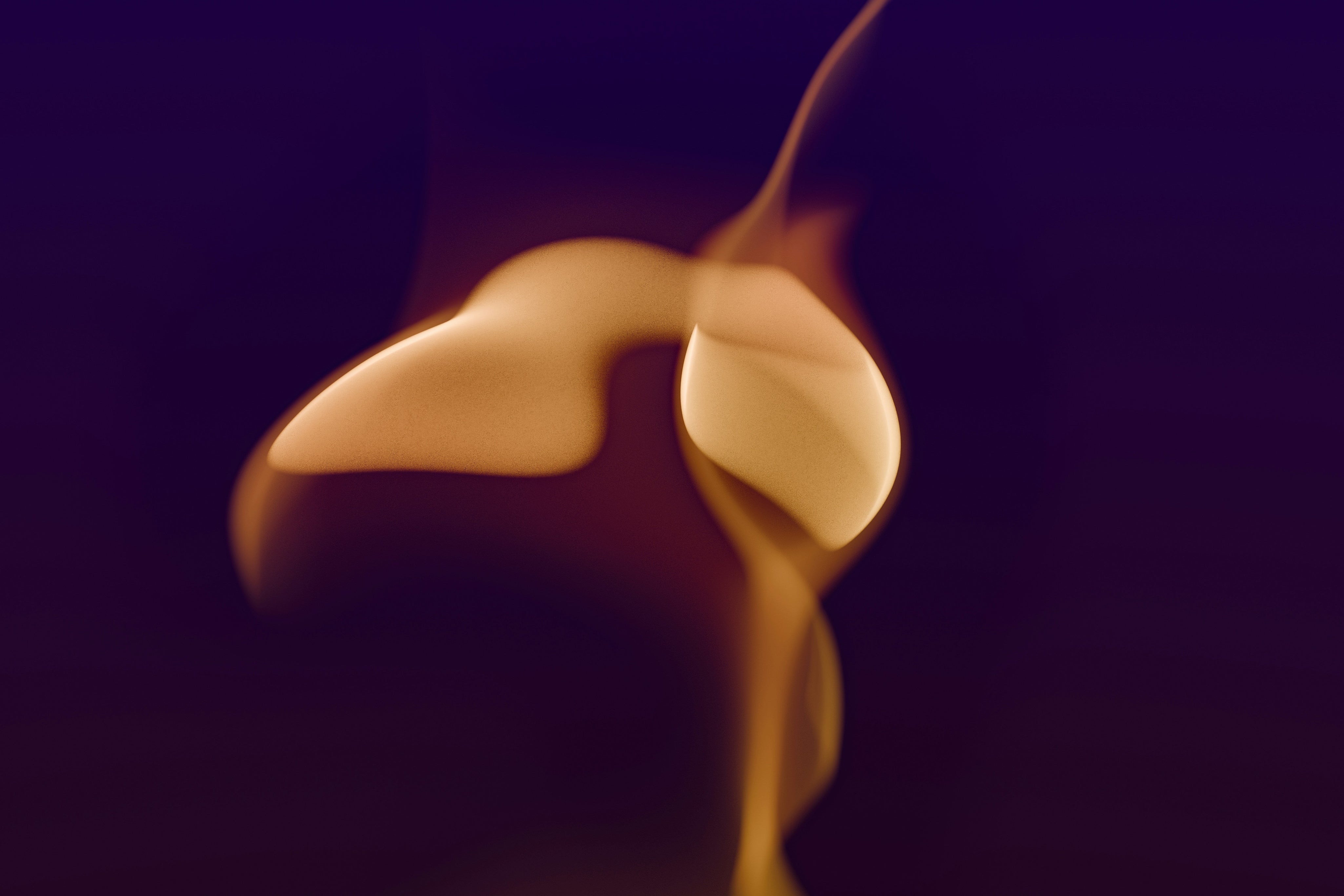 steve-a-johnson-Wrfm23jdX5s-unsplash_1.jpg